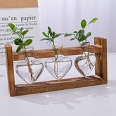 Indoor & Outdoor Wood Heart Glass Plant Vase Home Decor