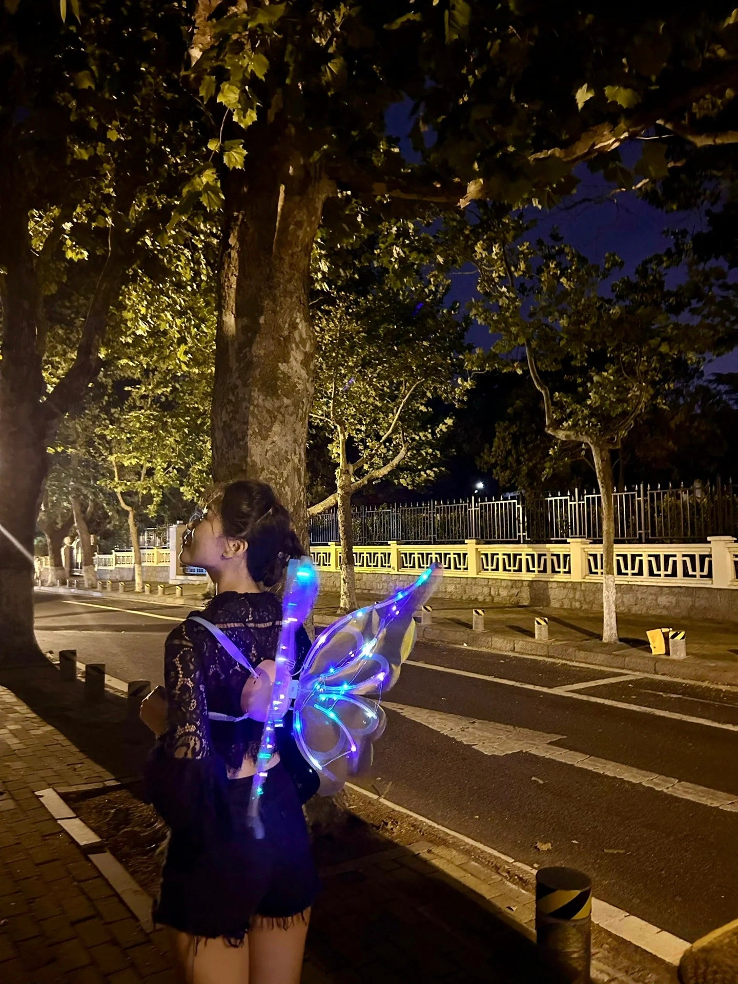 Rechargeable Electronic Fairy Butterfly Angel Wings with Colorful Lighting