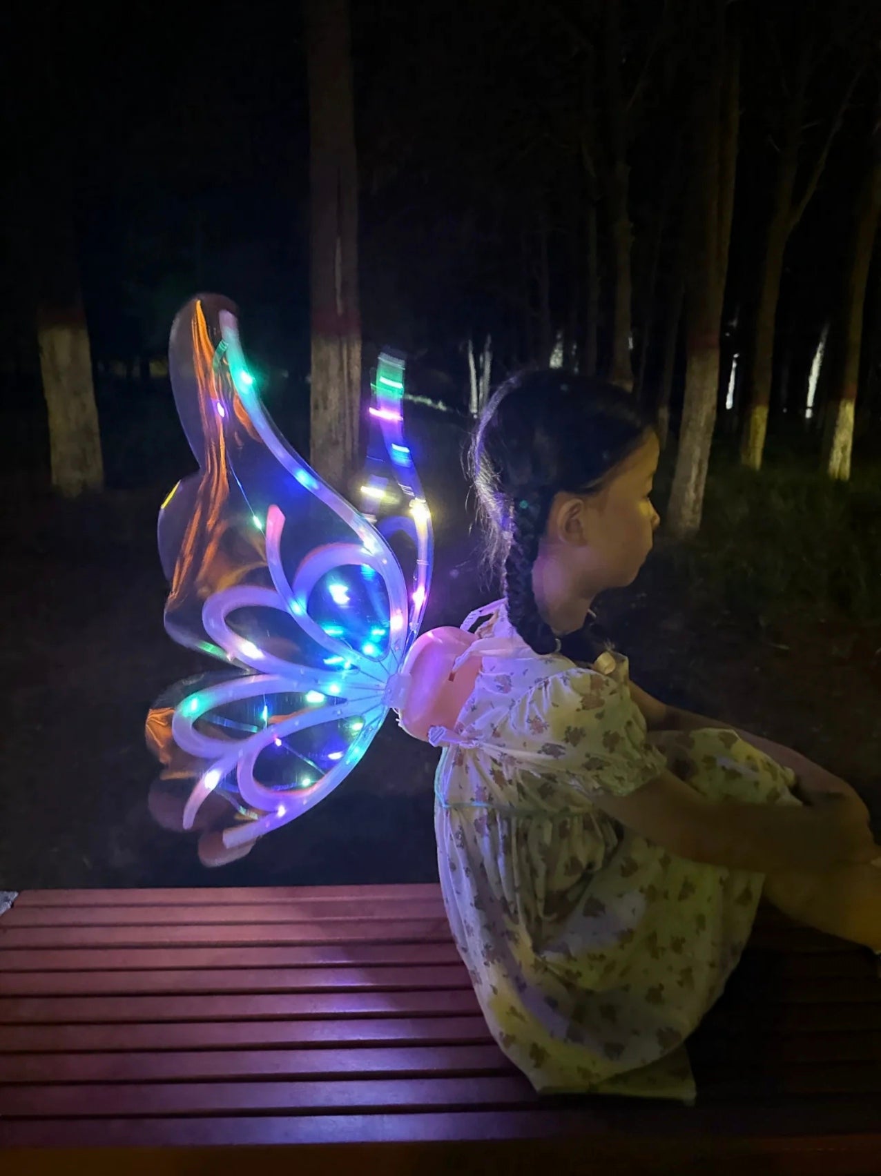 Rechargeable Electronic Fairy Butterfly Angel Wings with Colorful Lighting