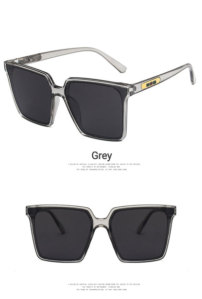 New Seethrough Frame Sunglasses