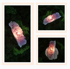 Aromatherapy Gel Crystal Candles